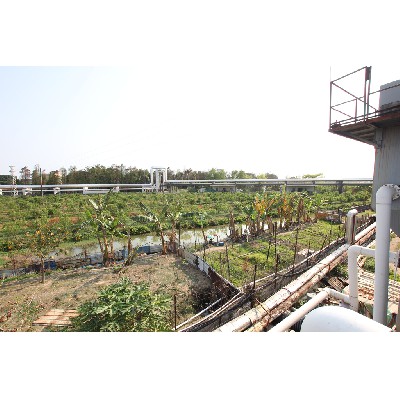 工業(yè)區(qū)內(nèi)蒸汽管道 (2)